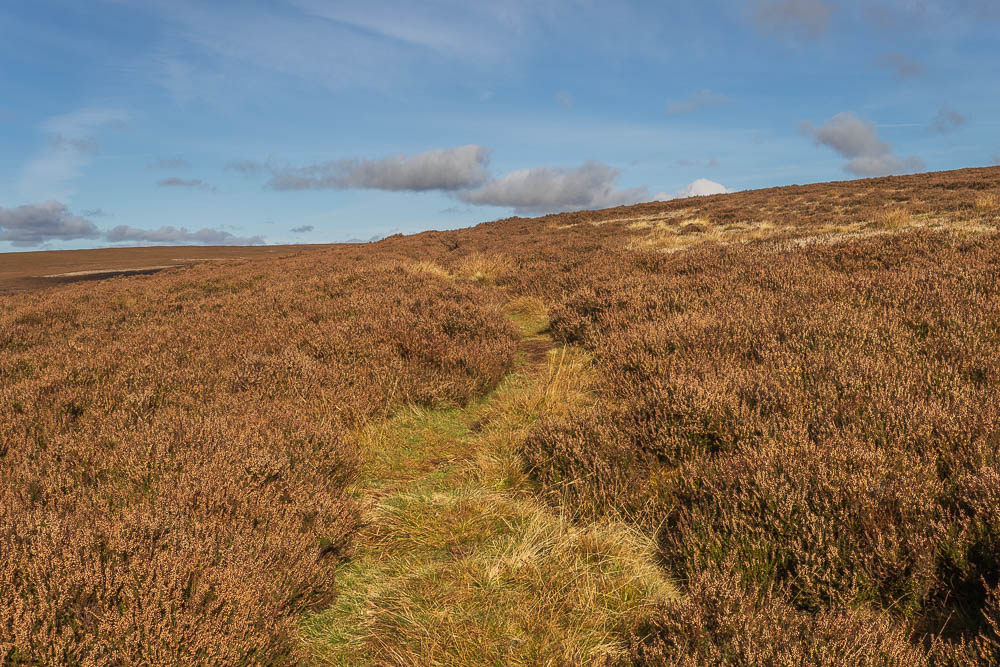 Millstone Edge Millstone Edge